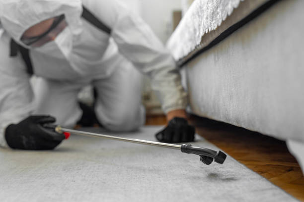 Professional Bed Bug Control technician working in Nisswa, MN